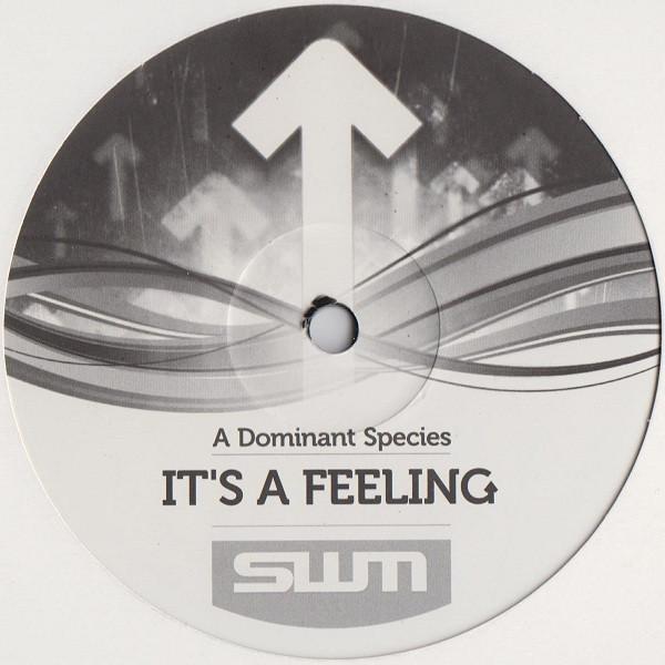 A Dominant Species - It's A Feeling