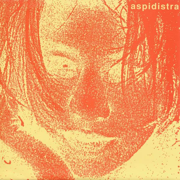 Aspidistra - Grip
