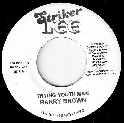 Barry Brown, The Aggrovators - Trying Youth Man / Version