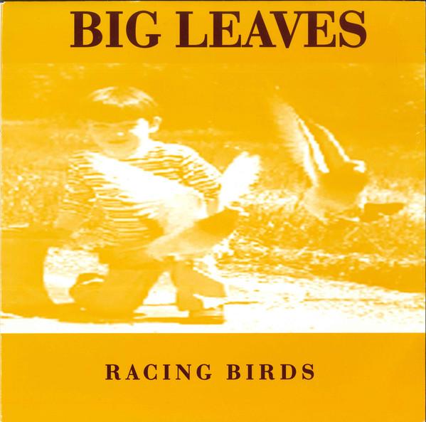 Big Leaves - Racing Birds