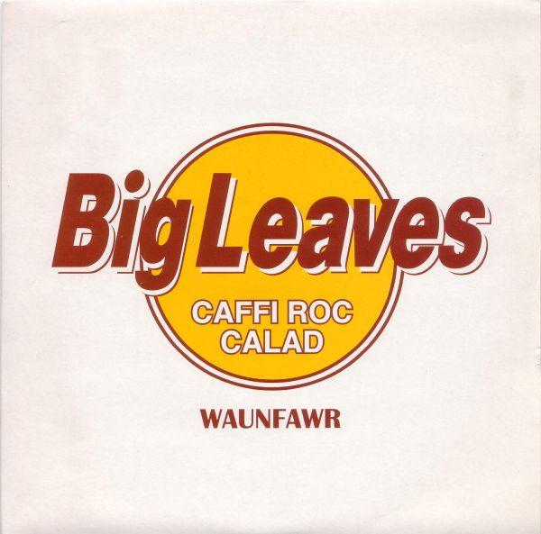 Big Leaves - Sly Alibi / Double Trouble