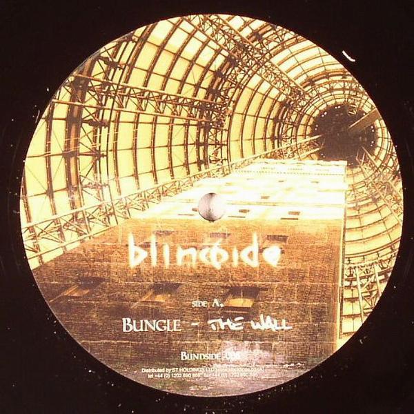 Bungle - The Wall / Sky High