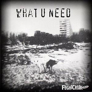 Flightcrank - What U Need