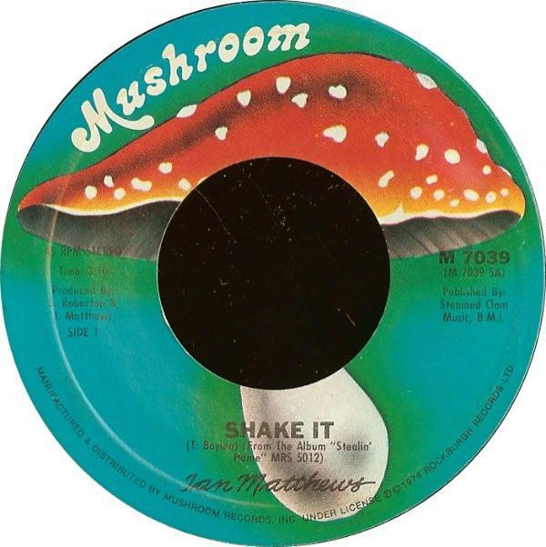 Iain Matthews - Shake It