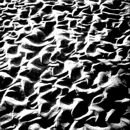 Lazarus Clamp - Sea Sore Songs
