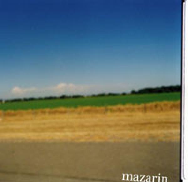Mazarin - Suicide Will Make You Happy / Flying Arms For Driving