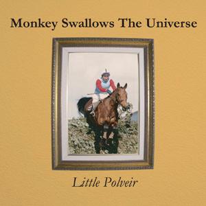 Monkey Swallows The Universe - Little Polveir
