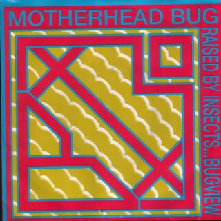 Motherhead Bug - Raised By Insects ... Bugview