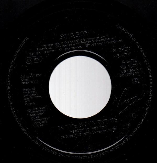 Shaggy - In The Summertime