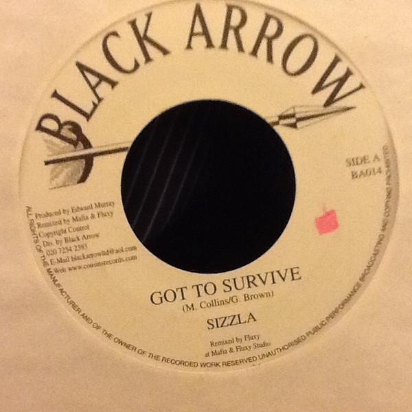 Sizzla - Got To Survive