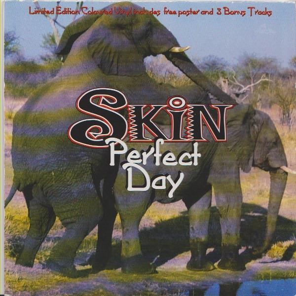 Skin (4) - Perfect Day
