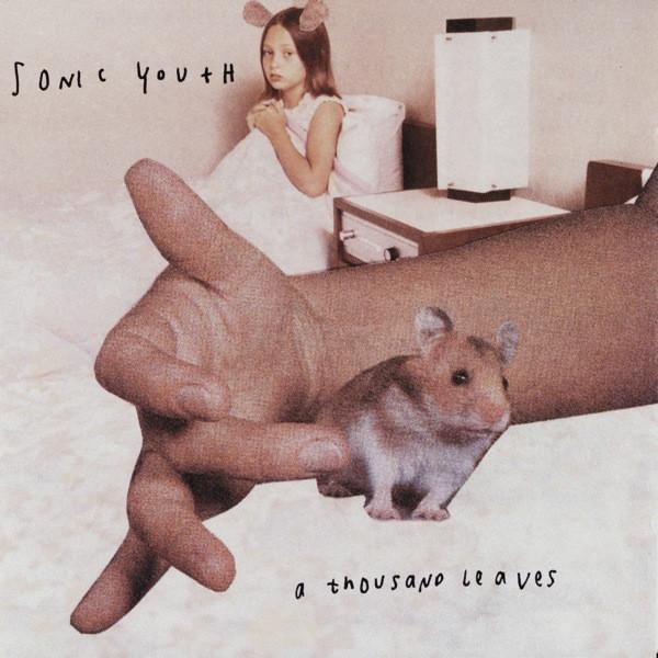 Sonic Youth - A Thousand Leaves