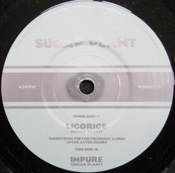 Sugar Plant - Licorice / Impure
