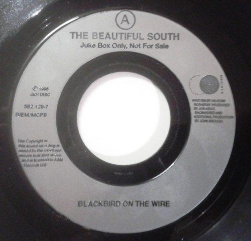 The Beautiful South - Blackbird On The Wire