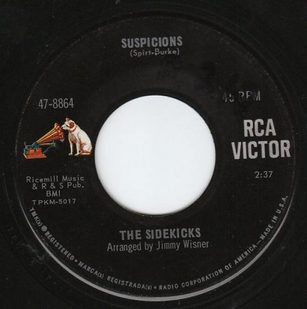 The Sidekicks (2) - Suspicions