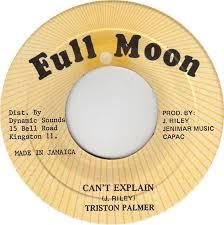 Tristan Palmer - Can't Explain