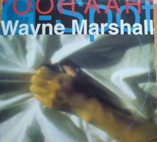 Wayne Marshall (3) - G Spot (Ooh Aah)